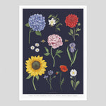 Lade das Bild in den Galerie-Viewer, SALE Blumen Print DIN A2
