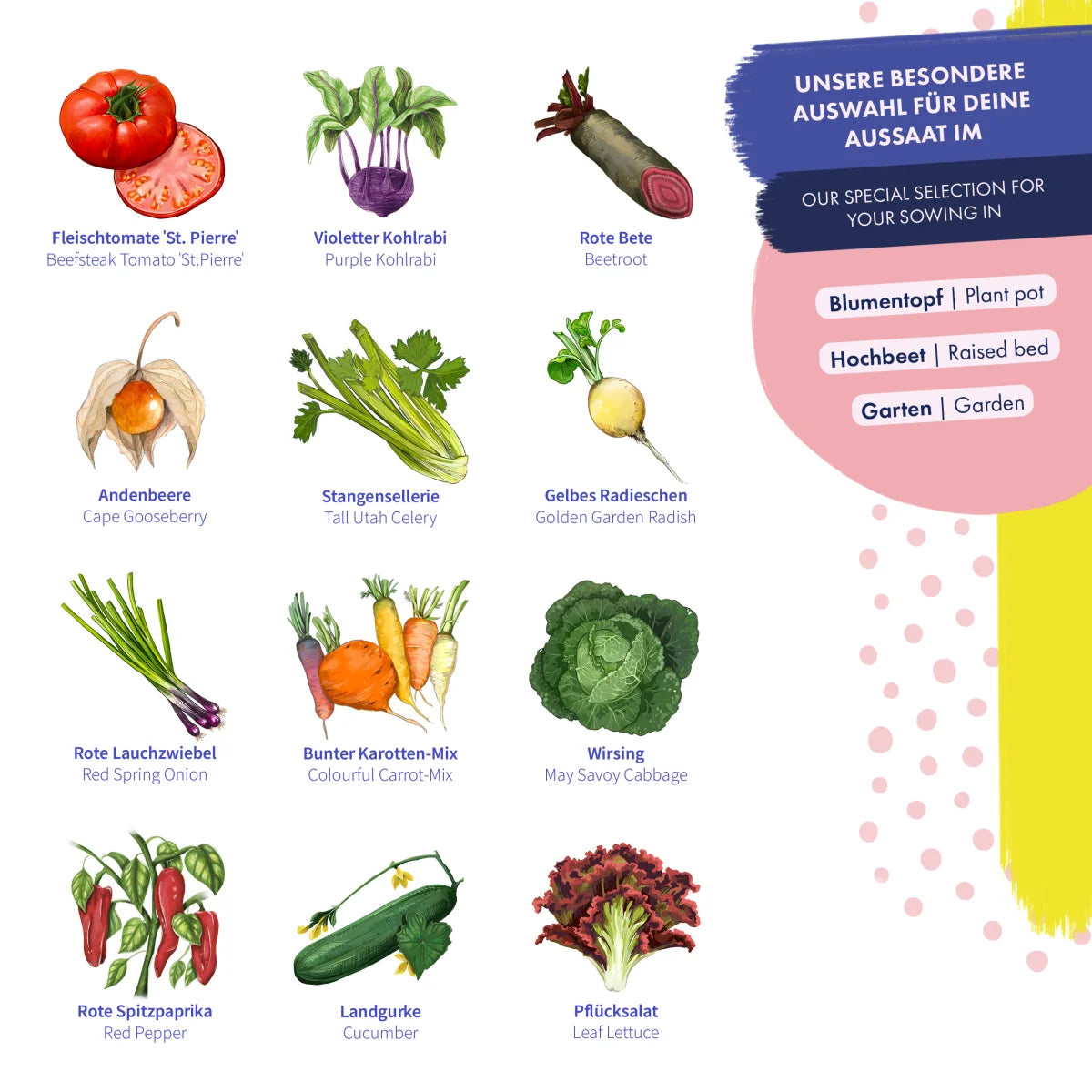 SALE Gemüsesamen - 12 samenfeste bunte Gemüsesorten
