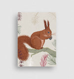 Lade das Bild in den Galerie-Viewer, Postkarte Eichhörnchen
