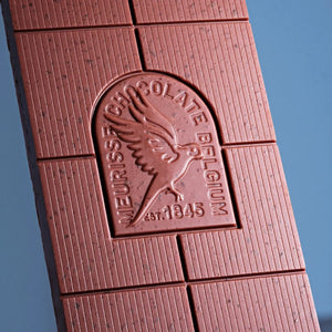 Dunkle Schokolade (73%) mit gerösteten Kakaonibs - bio
