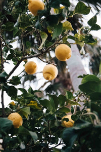 Lemon Curd VEGAN 170g