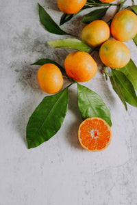 Orangen & Vanille Curd 170g VEGAN