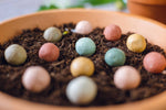 Load image into Gallery viewer, Geschenkbox Happiness Grows a Garden 7 Samenkugeln bio
