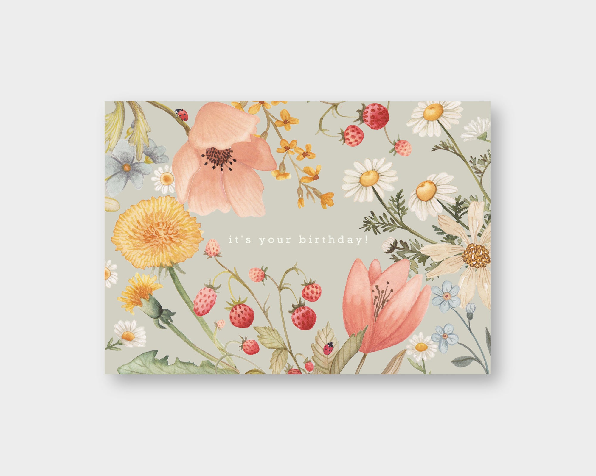 Postkarte It's your birthday