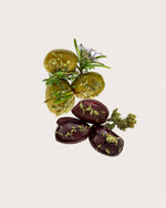 Load image into Gallery viewer, OELiven Mix-Variation in Kräutermarinade - bio
