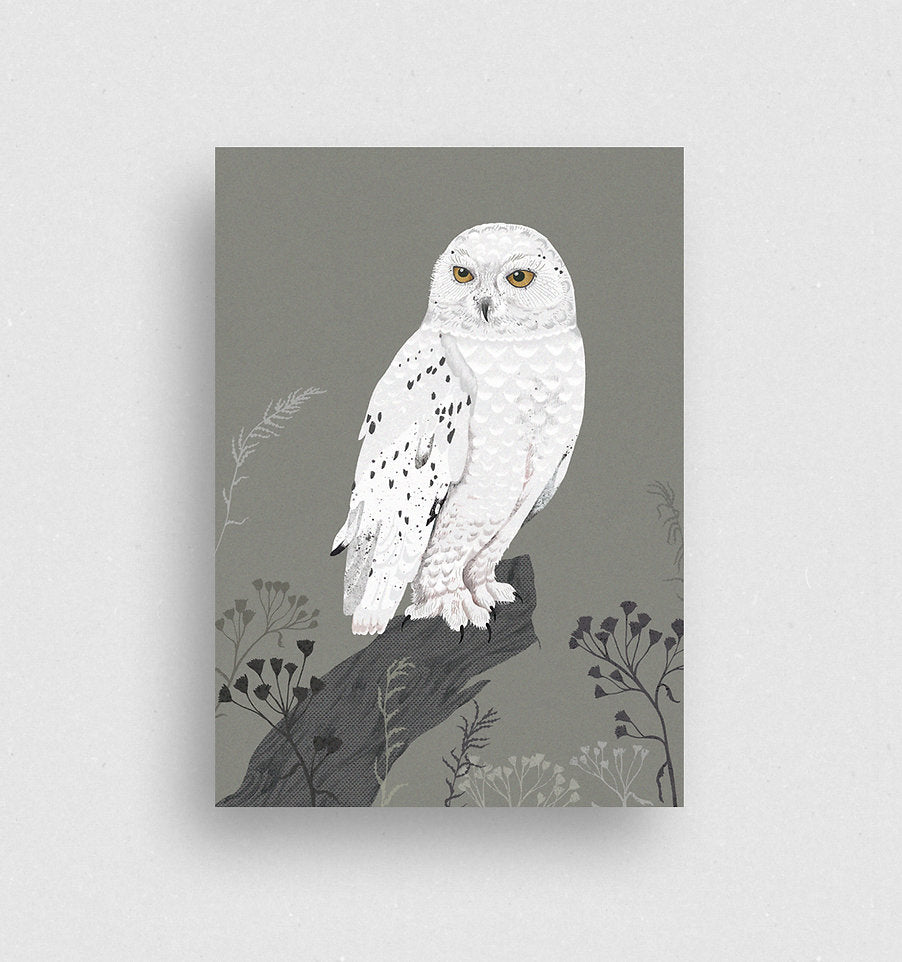 Postkarte Schnee-Eule