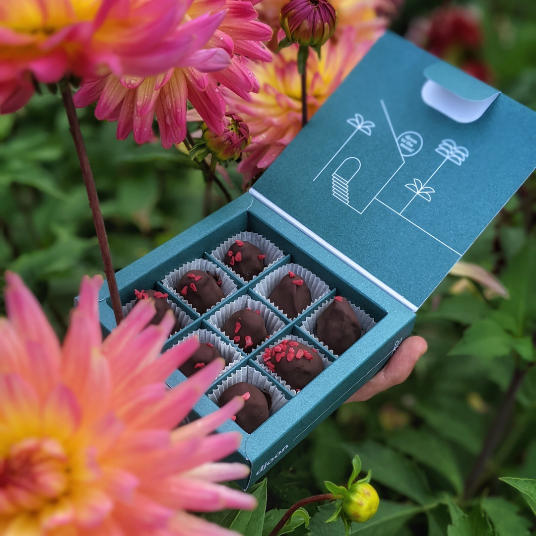 Dattelpralinen: Raspberry Cream bio & vegan