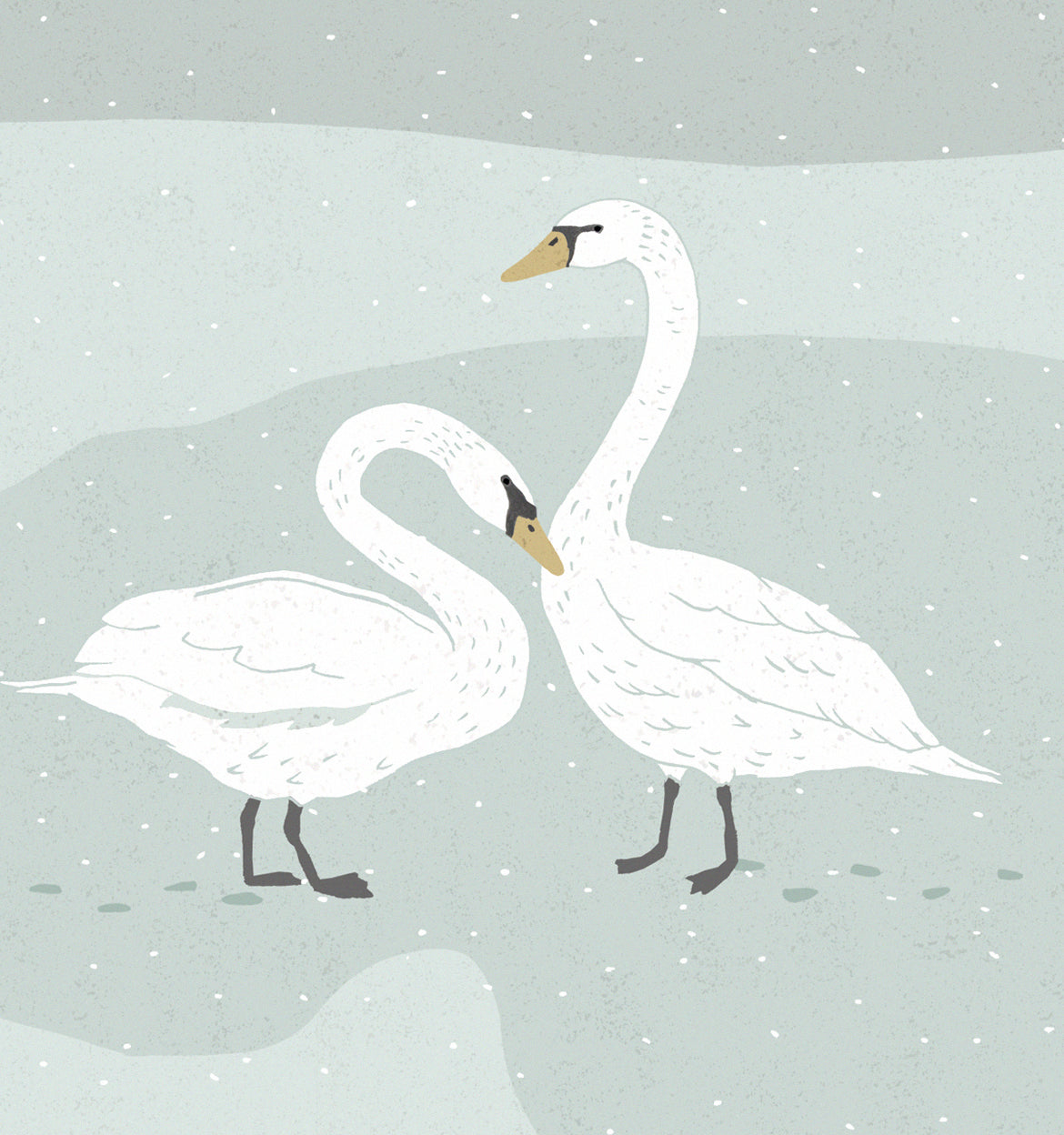 Klappkarte Schwäne