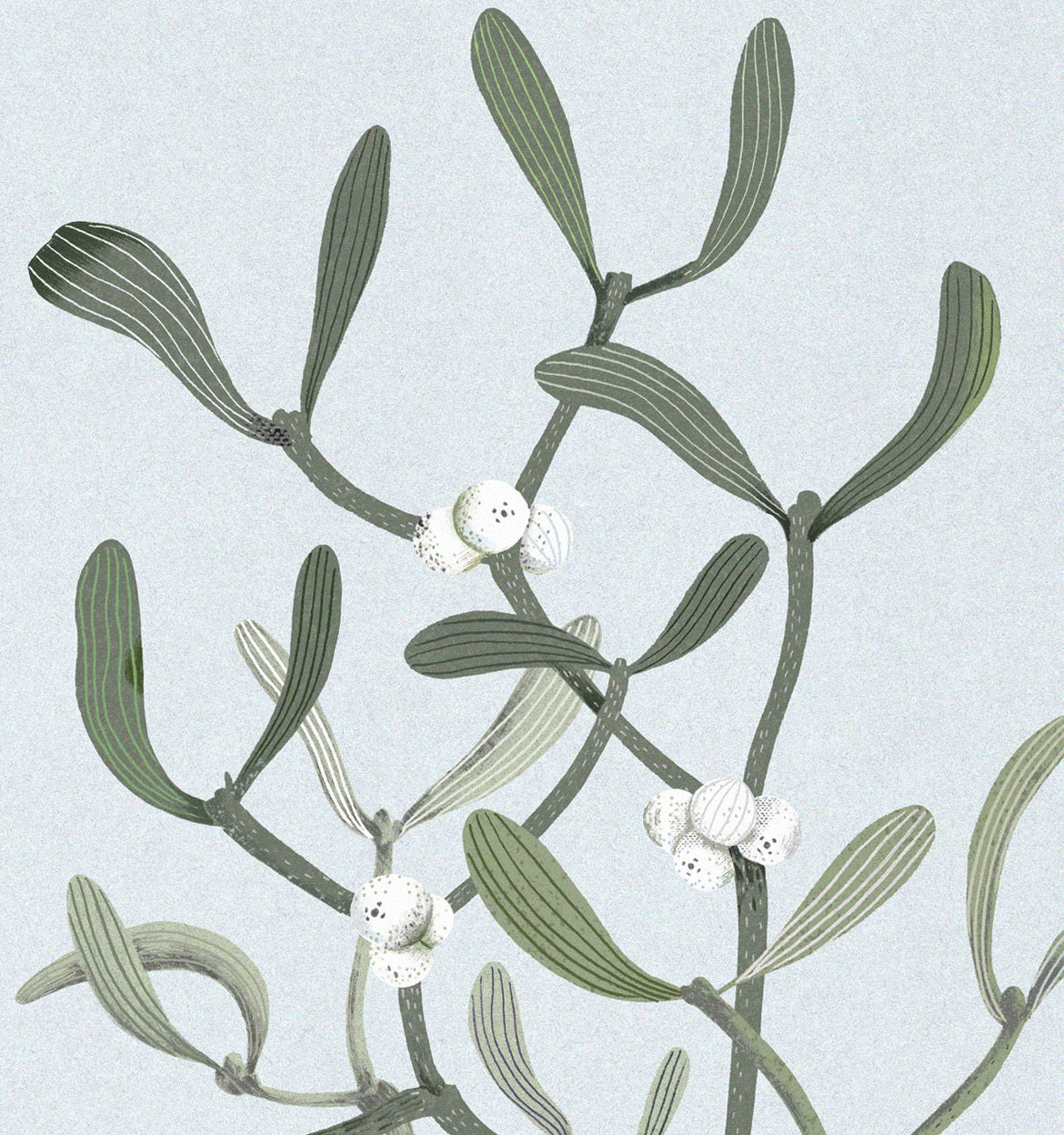 Postkarte Mistel Hell