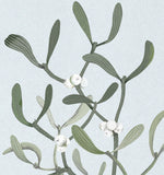 Load image into Gallery viewer, Postkarte Mistel Hell
