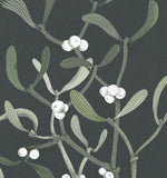 Load image into Gallery viewer, Postkarte Mistel Wald
