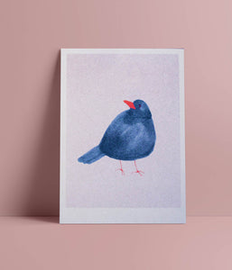 Postkarte Amsel Risographie