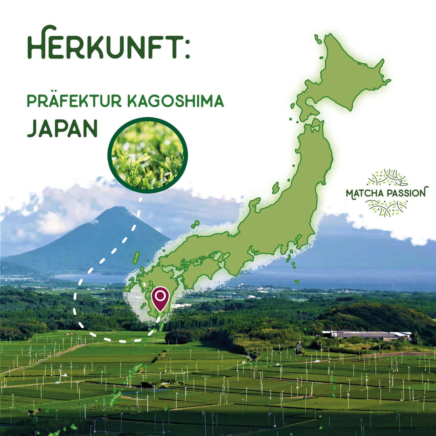 Matcha Ceremonial 30g Dose bio