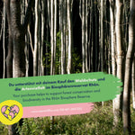 Lade das Bild in den Galerie-Viewer, Blumensamen - 12 samenfeste wilde &amp; farbenfrohe Blumensorten

