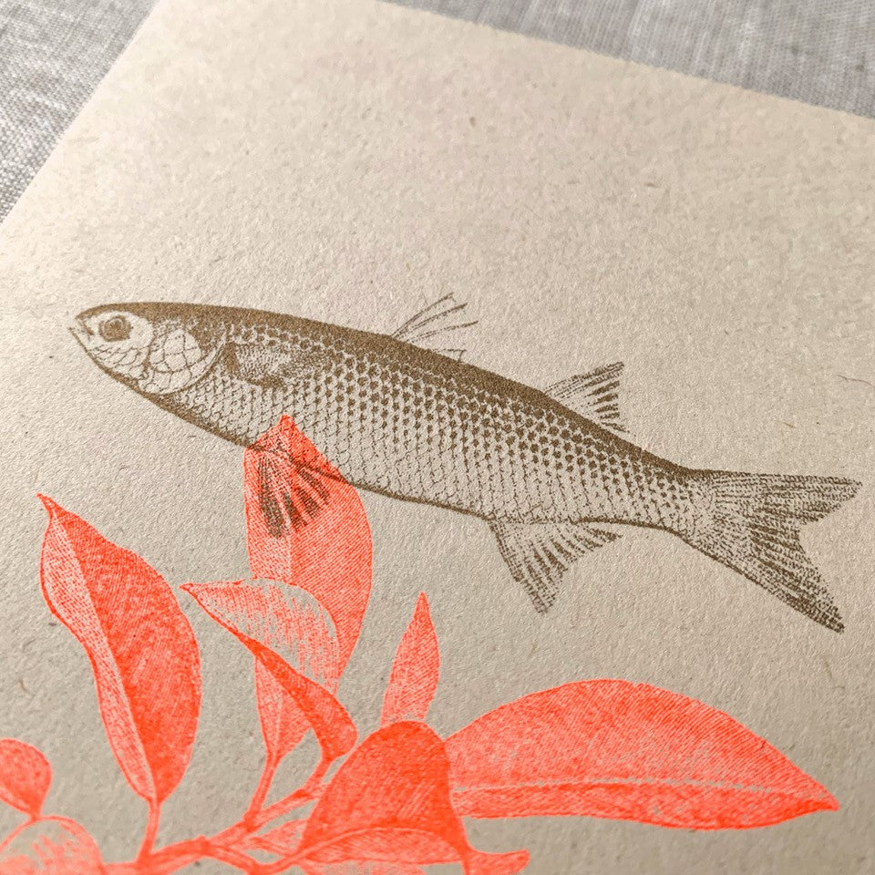 Postkarte Fisch und Orange