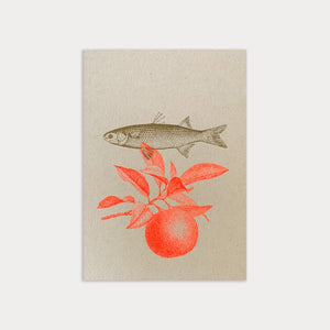 Postkarte Fisch und Orange