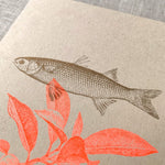 Lade das Bild in den Galerie-Viewer, Postkarte Fisch und Orange
