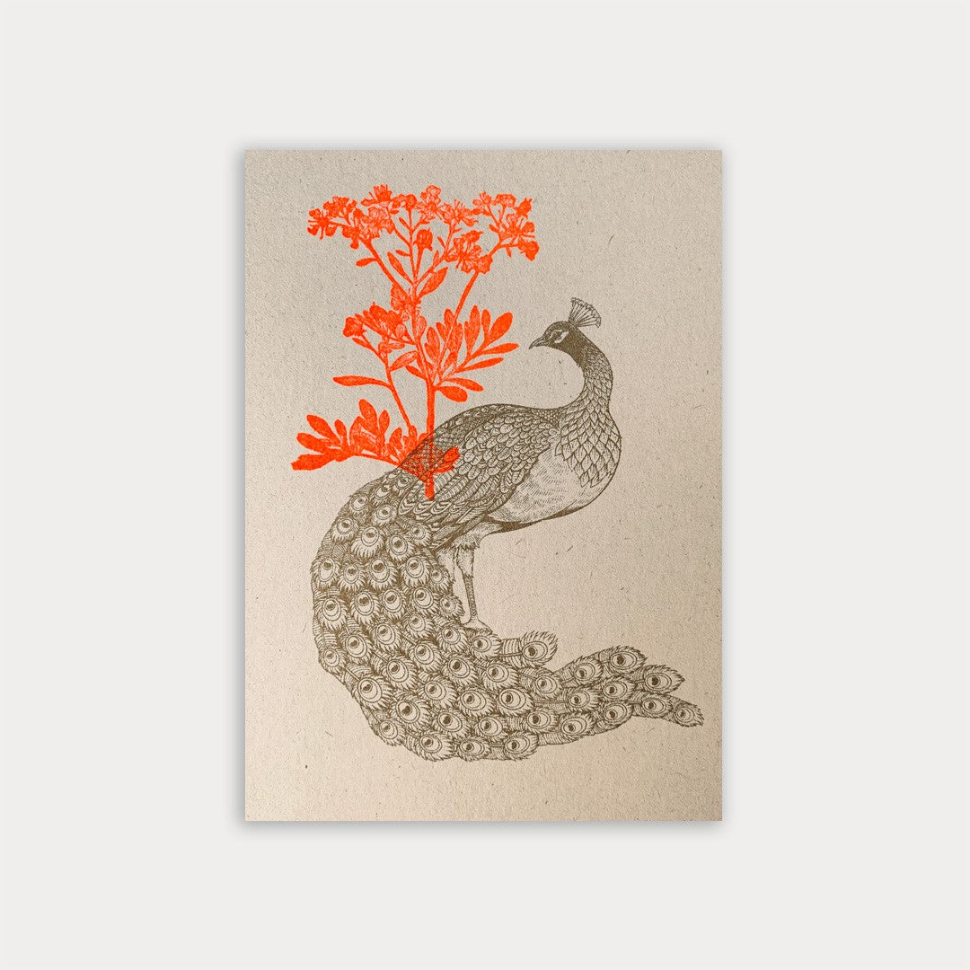 Postkarte Pfau & Blume