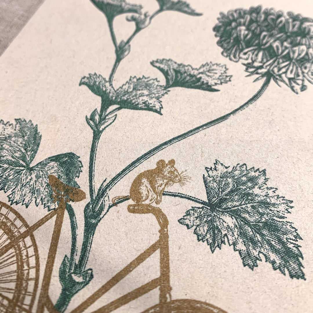Postkarte Fahrrad mit Pflanze