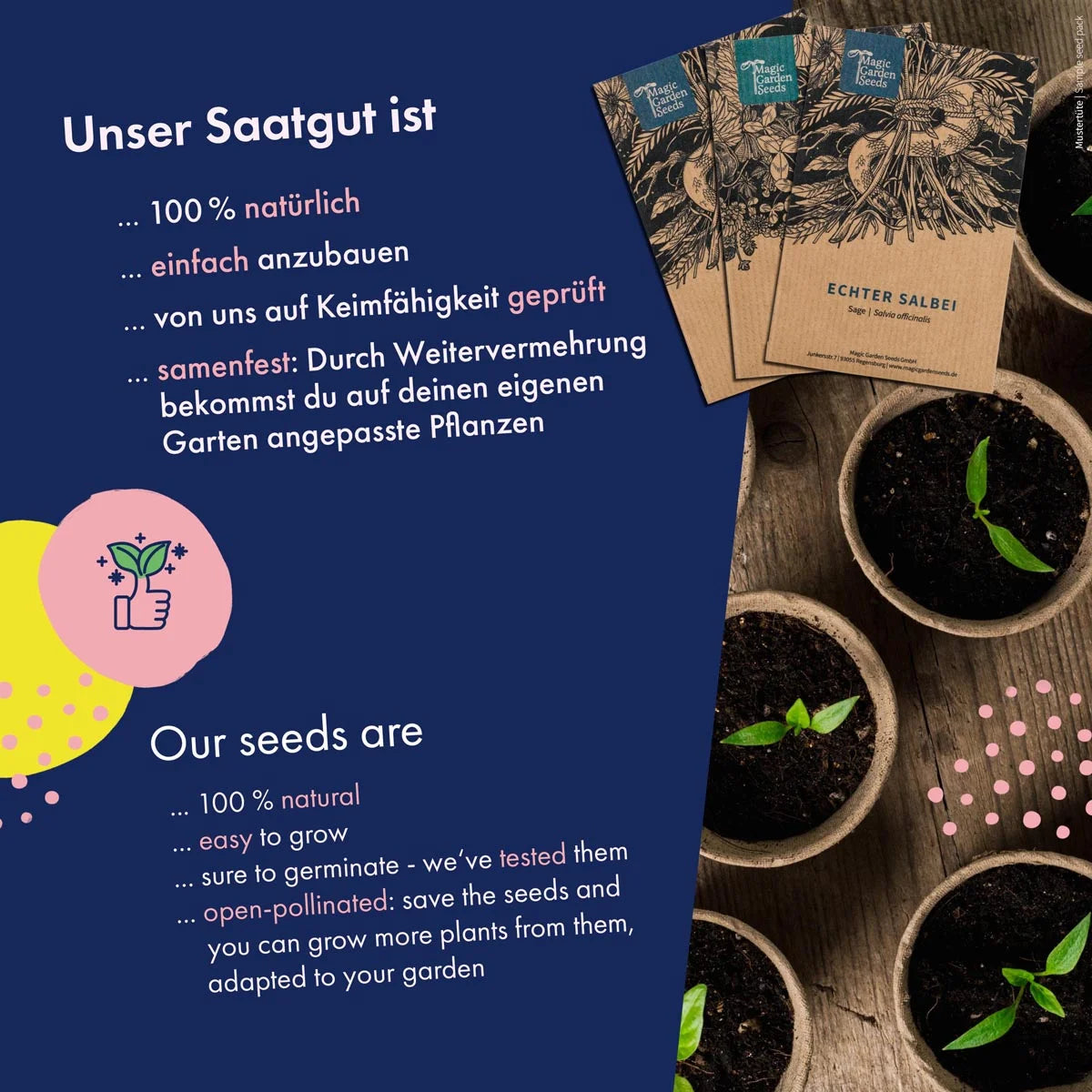 Trockenblumen - 10 unvergänglich & schön Saatgutset
