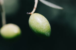 Oliven Variation Grüne & Kalamata Oliven