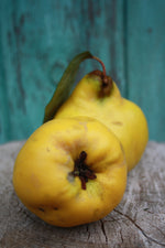 Lade das Bild in den Galerie-Viewer, Quitten-Citrus-Creme
