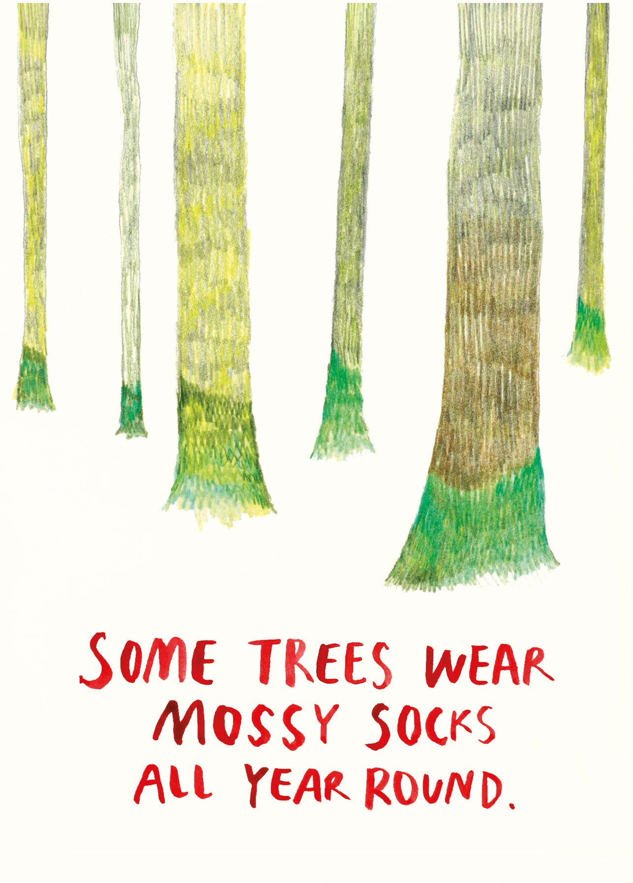 Some trees wear mossy socks all year round