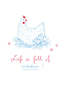 Life is full of wonder!