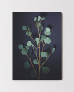 Lade das Bild in den Galerie-Viewer, Postkarte Eukalyptus
