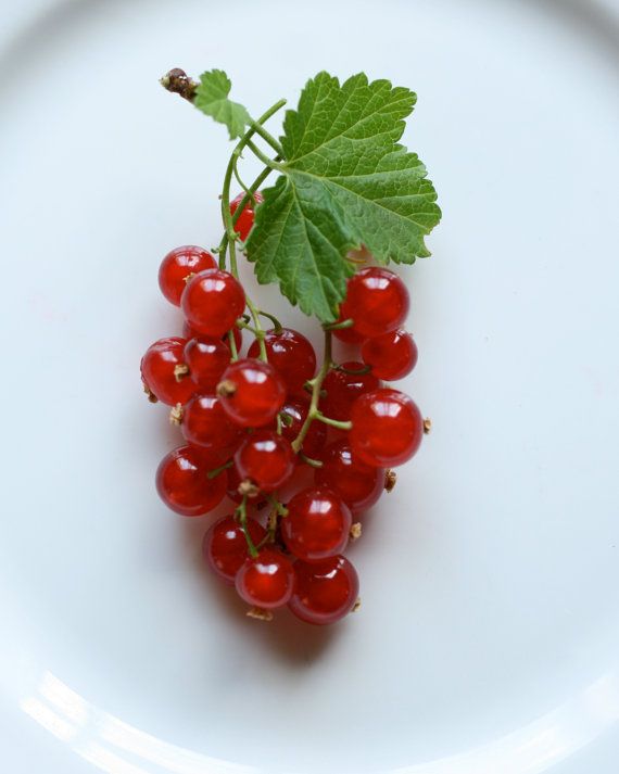 Rote Johannisbeere & Cassis