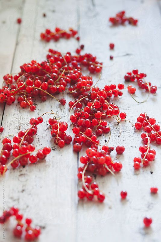 Rote Johannisbeere & Cassis