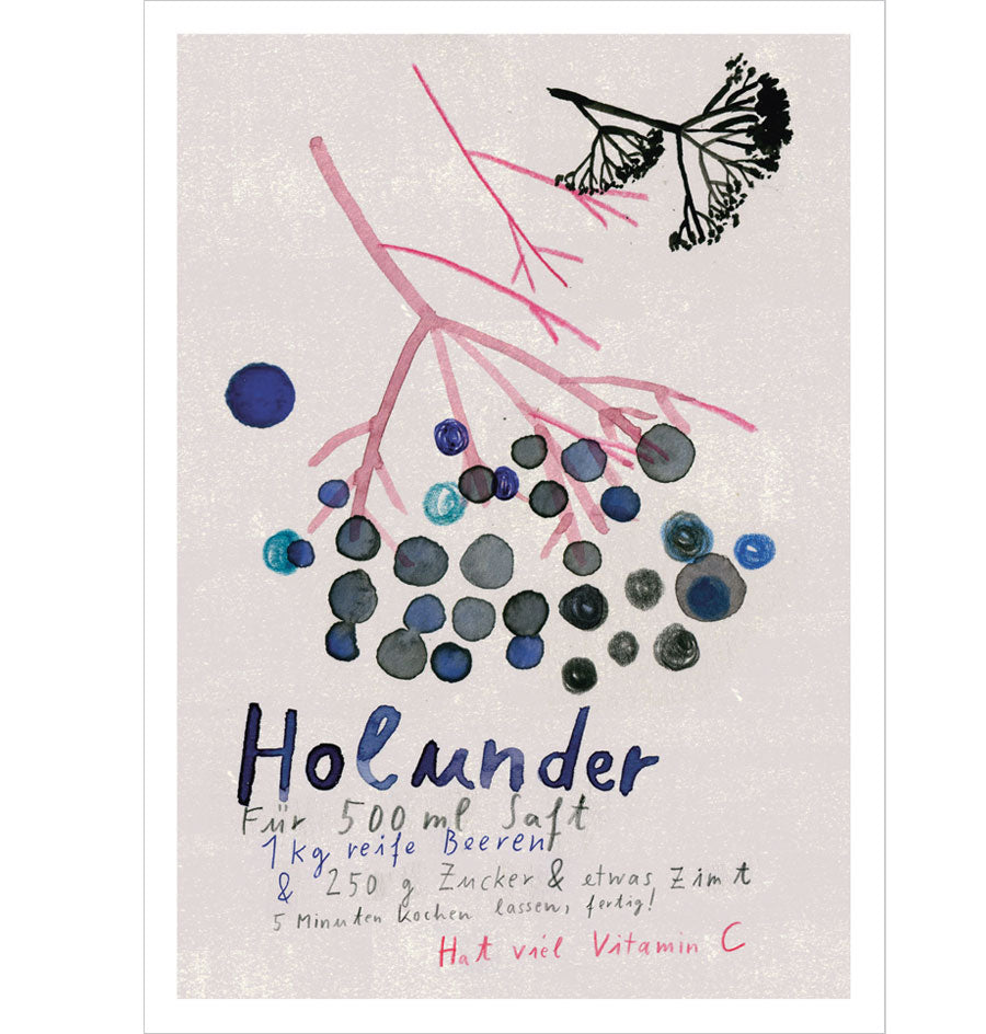 Postkarte Holunder