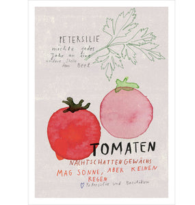 Postkarte Tomaten