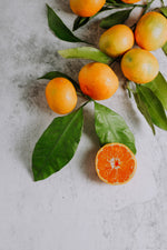 Load image into Gallery viewer, Orangen &amp; Vanille Curd vegan 170g
