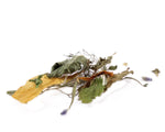Load image into Gallery viewer, Feierabend Kräutertee-Mischung bio &amp; regional
